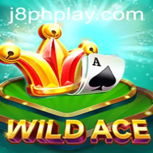 Discover WildAce: A New Era in Gaming